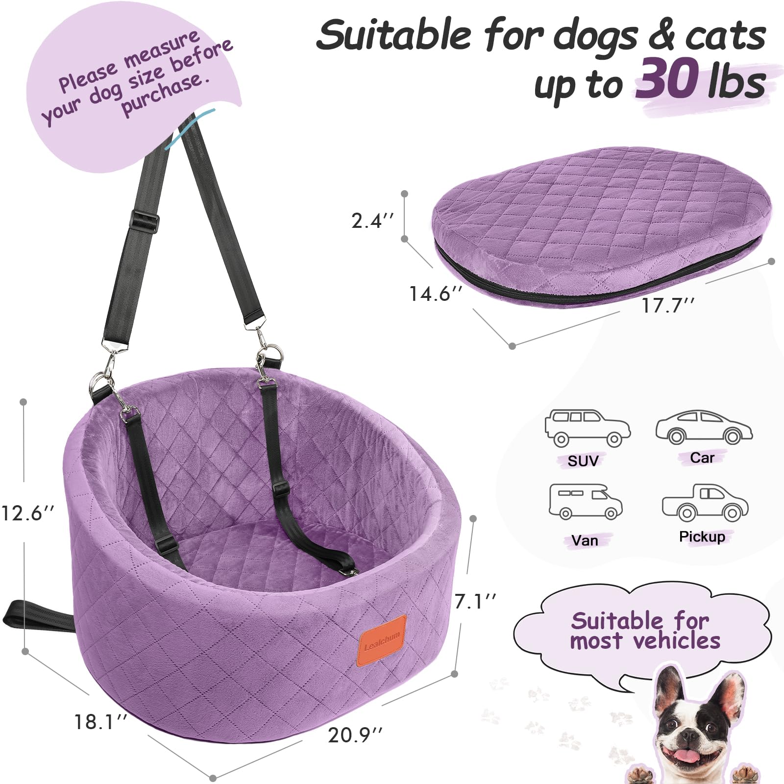 Lealchum car seat shows two safety leashes for secure rides