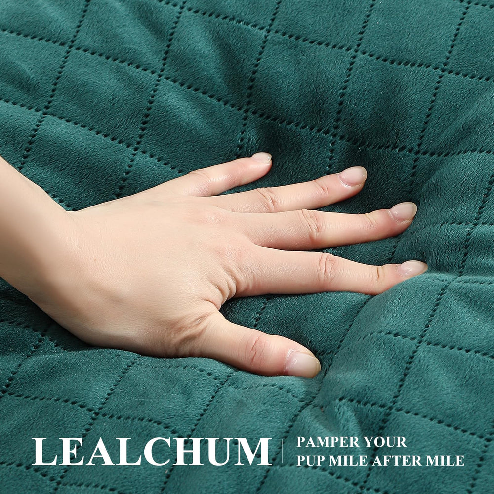 Lealchum removable cover for quick cleanup after adventures.