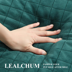 Lealchum removable cover for quick cleanup after adventures.