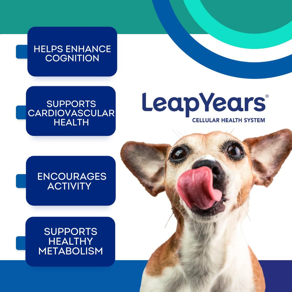 Leap Years Soft Chew packaging highlights veterinarian-formulated dog supplement.