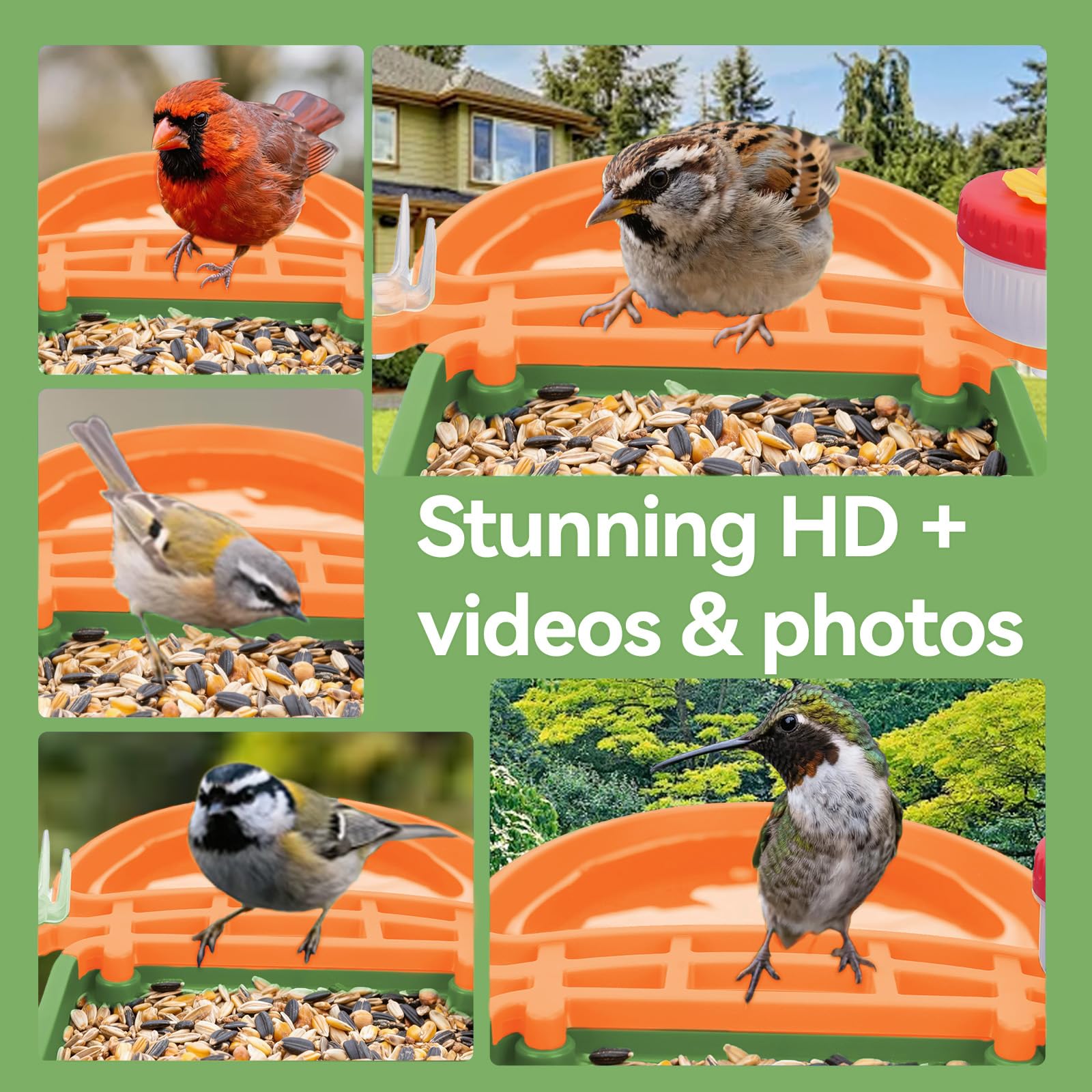 Leapbird Wild Bird Watching Experience invites family moments through nature.