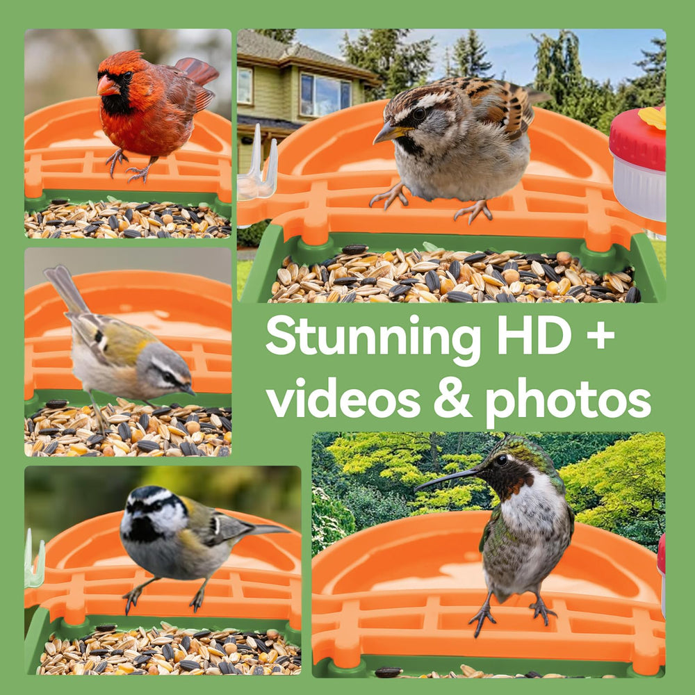 Leapbird Wild Bird Watching Experience invites family moments through nature.