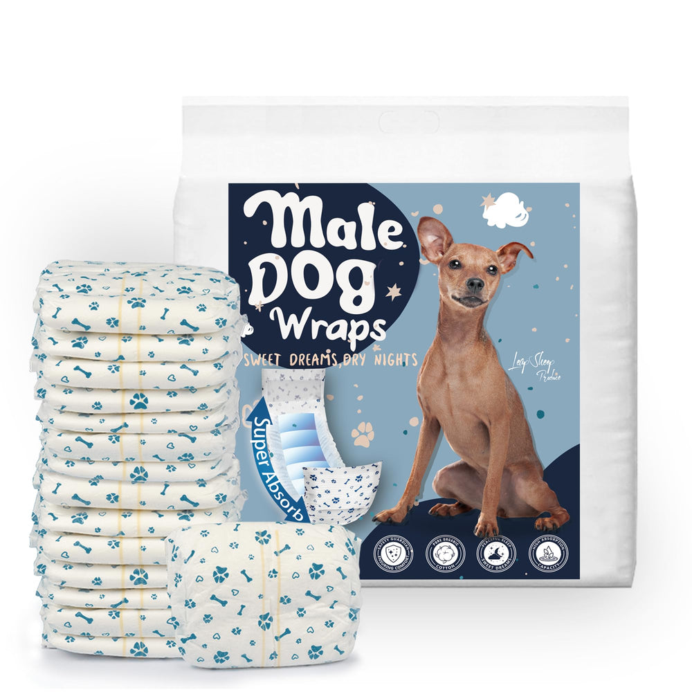 LeapSheep dachshund use image shows small dog wearing diaper during house training.