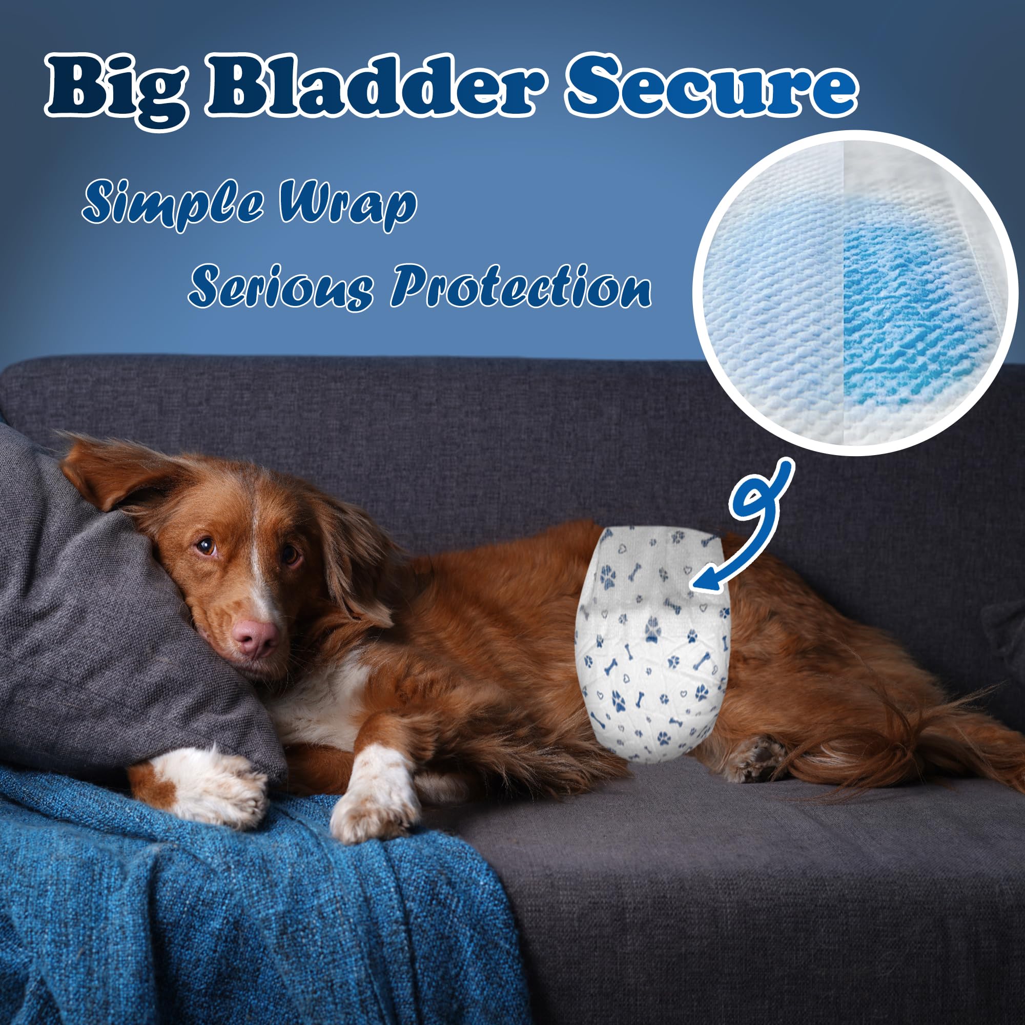 LeapSheep training use image shows small dog wearing diaper during practice.