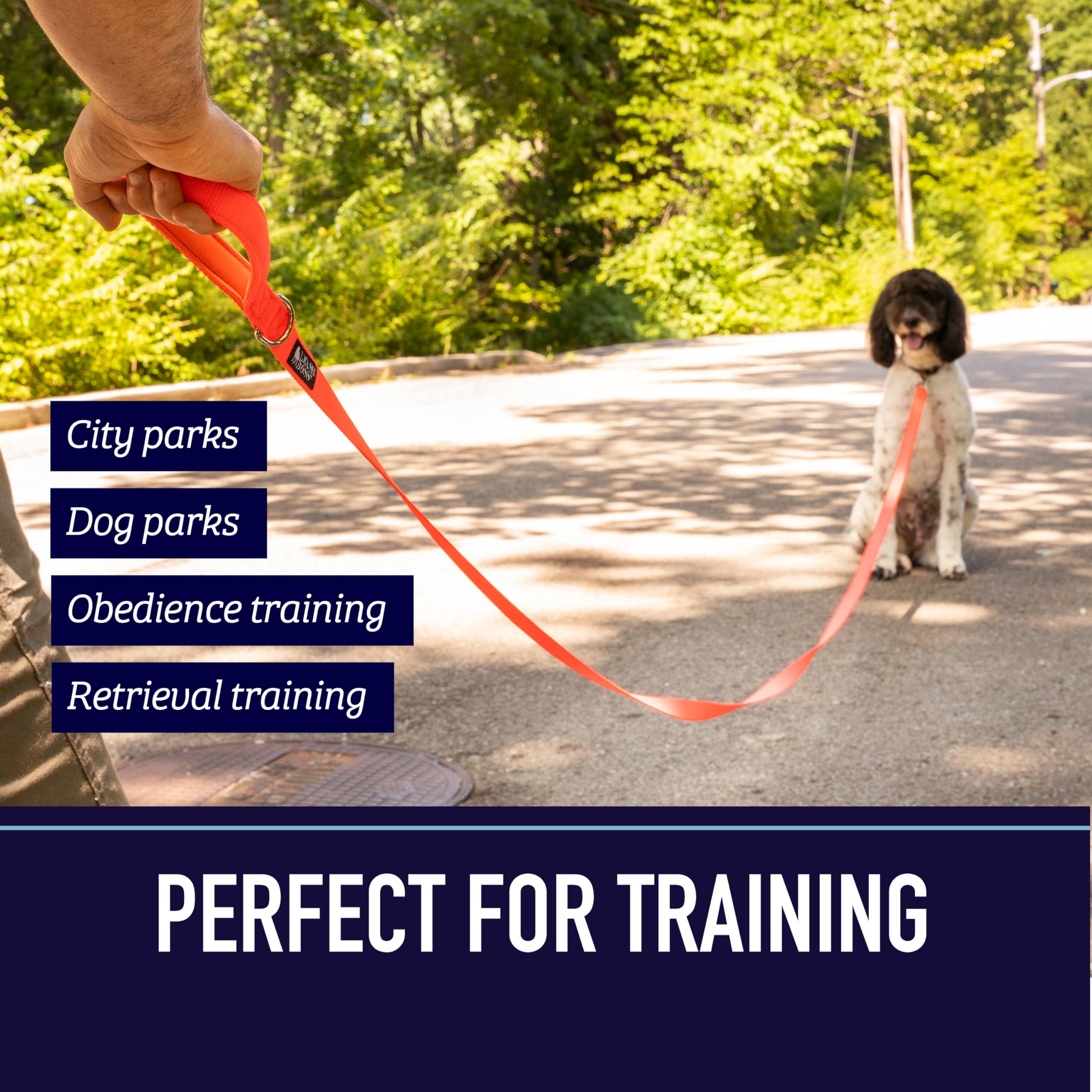 Leash Boss camping-dog-leash ready for outdoor adventures