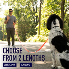 Leash Boss leash with D-ring for accessories or tie-out options