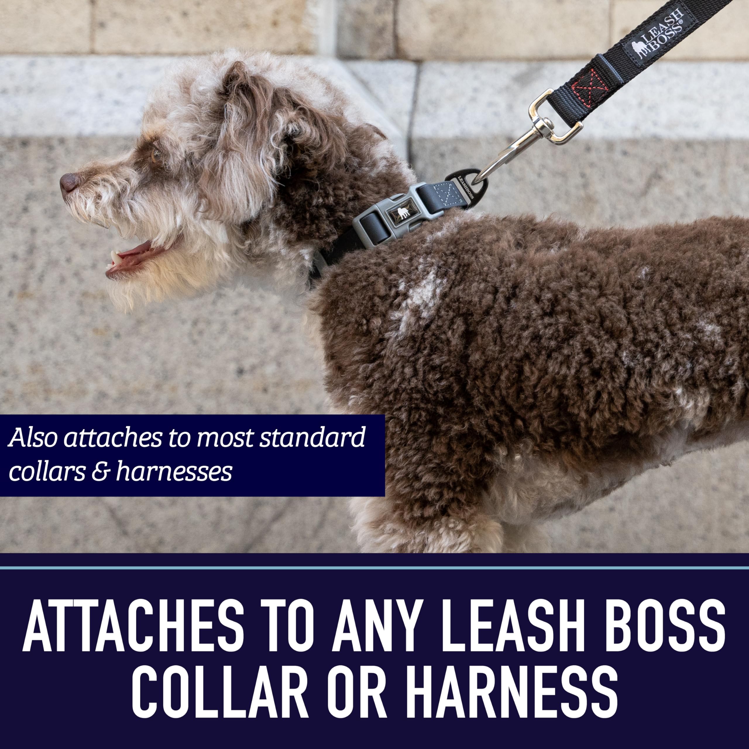 Leash Boss hiking-dog-leash close-up showing sturdy construction