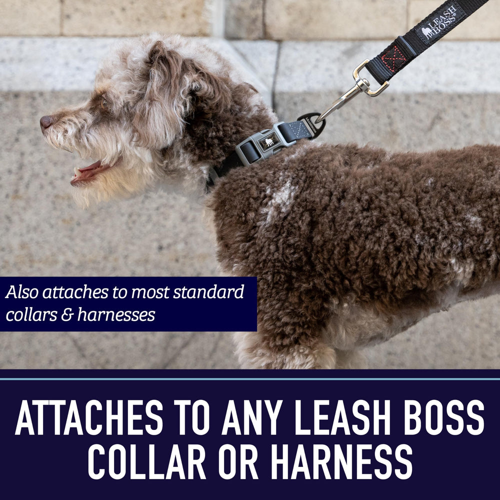 Leash Boss hiking-dog-leash close-up showing sturdy construction