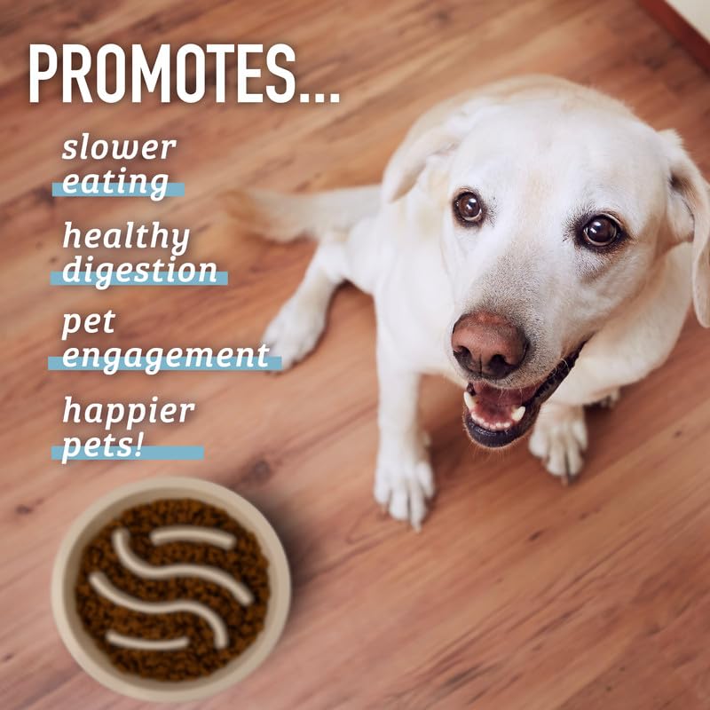 Leash Boss interactive mealtime bowl adds challenge and mental stimulation.