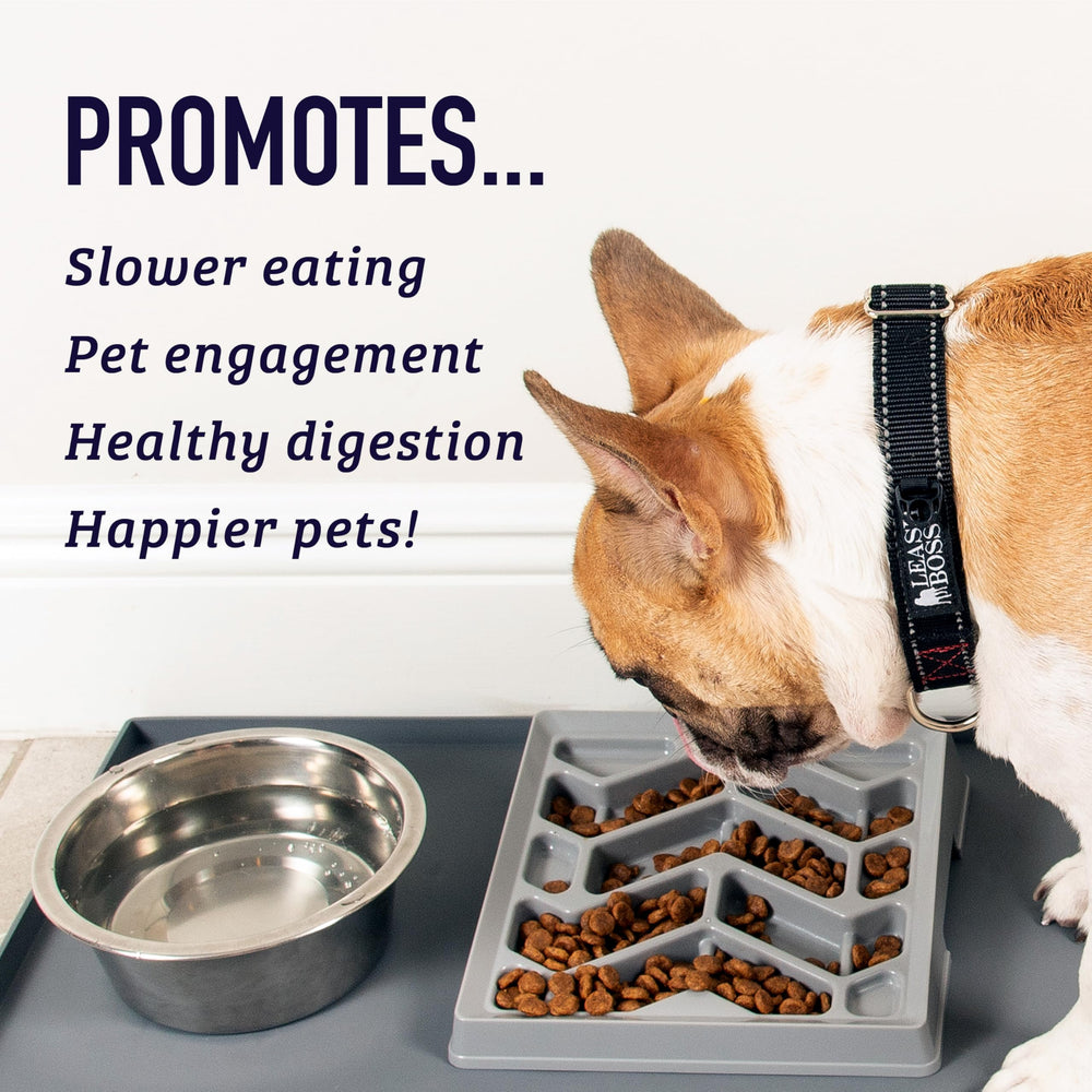 Leash Boss non-slip base keeps the bowl steady during meals.