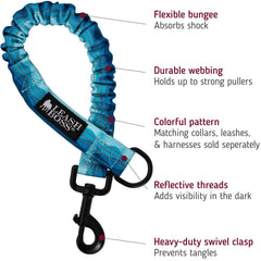 Wave-pattern leash extender attached between leash and collar for reduced tug impact.
