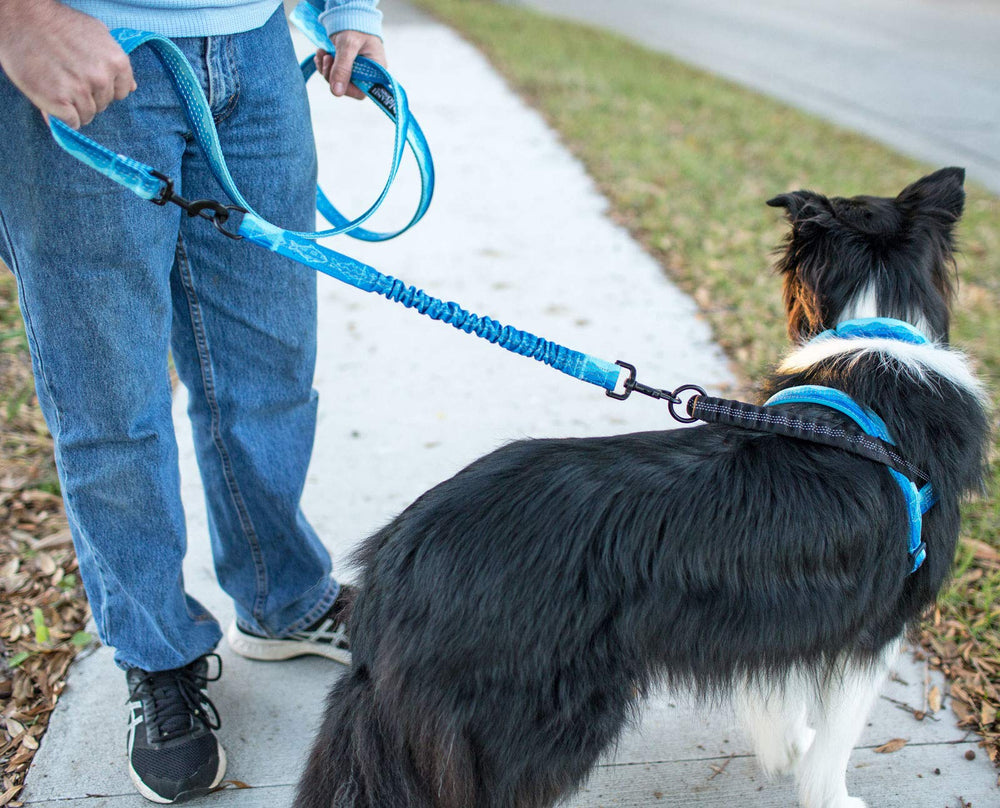 Safer dog walking by diffusing force during sudden movements.