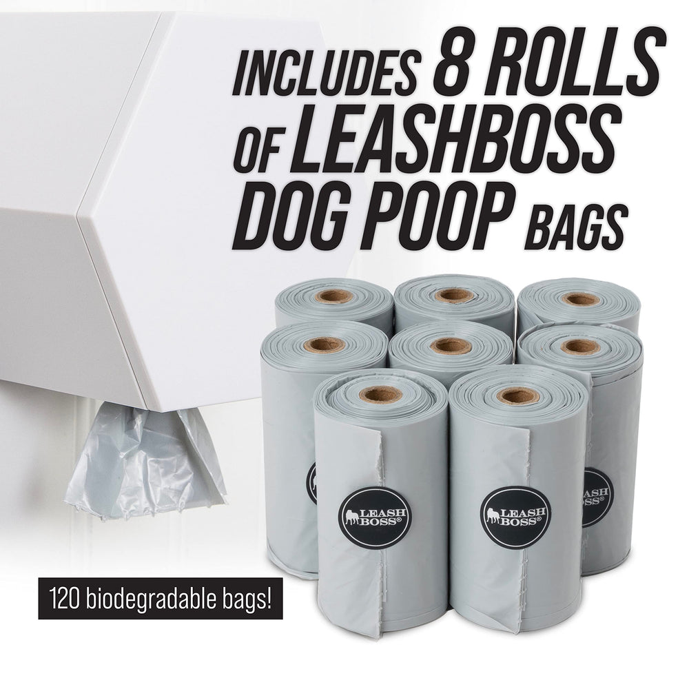 Leash Boss pet care solution suits daycares and clinics