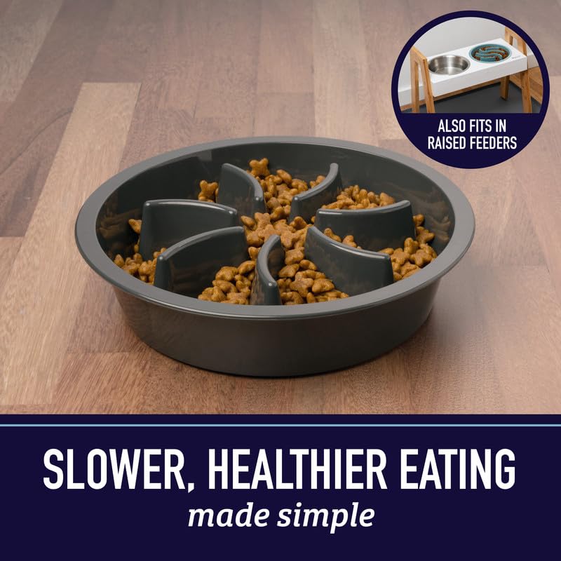 Leash Boss slow feeder dog bowl 2cup with non-slip base prevents spills.