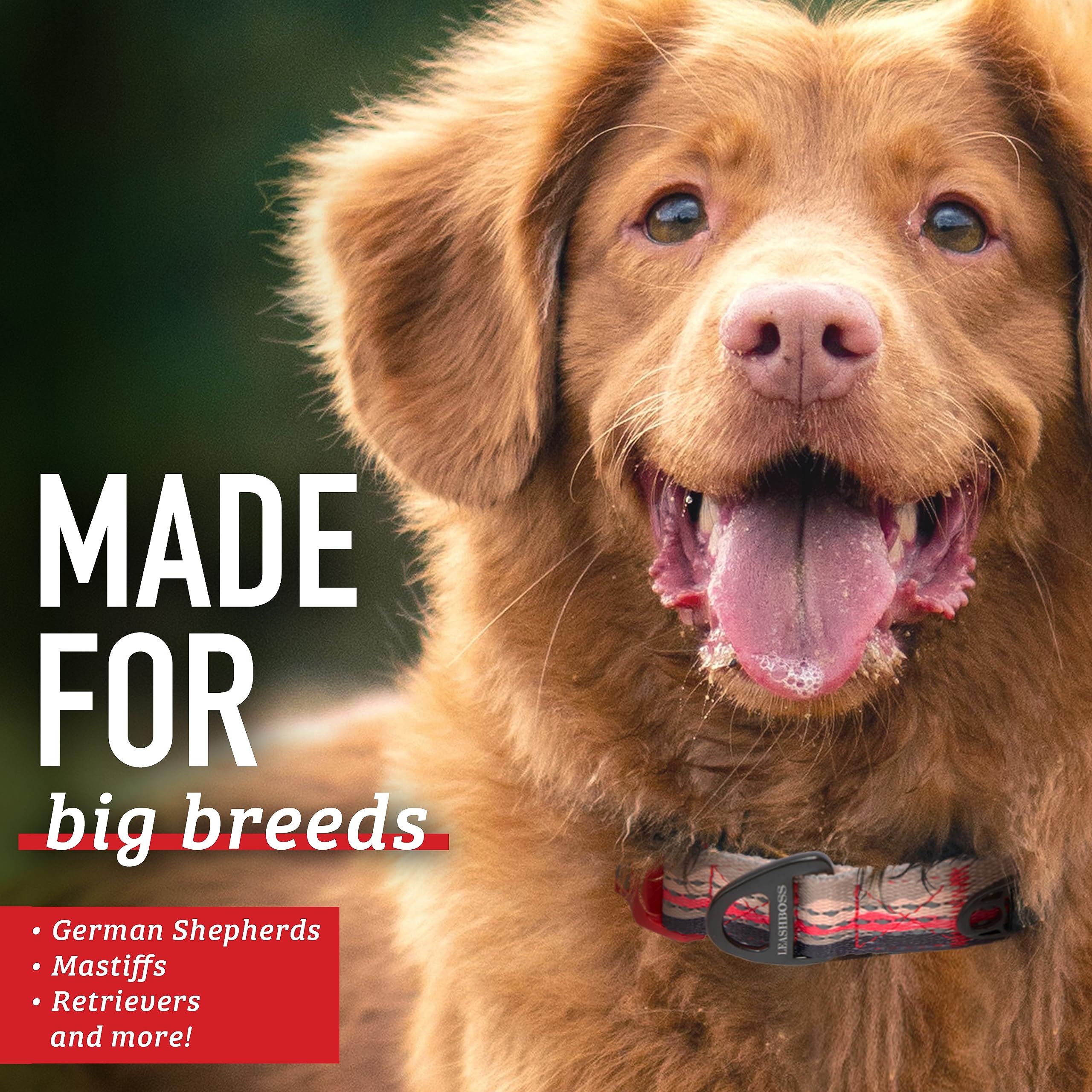 Leash Boss XL durable-plastic bowl built to withstand rugged play.