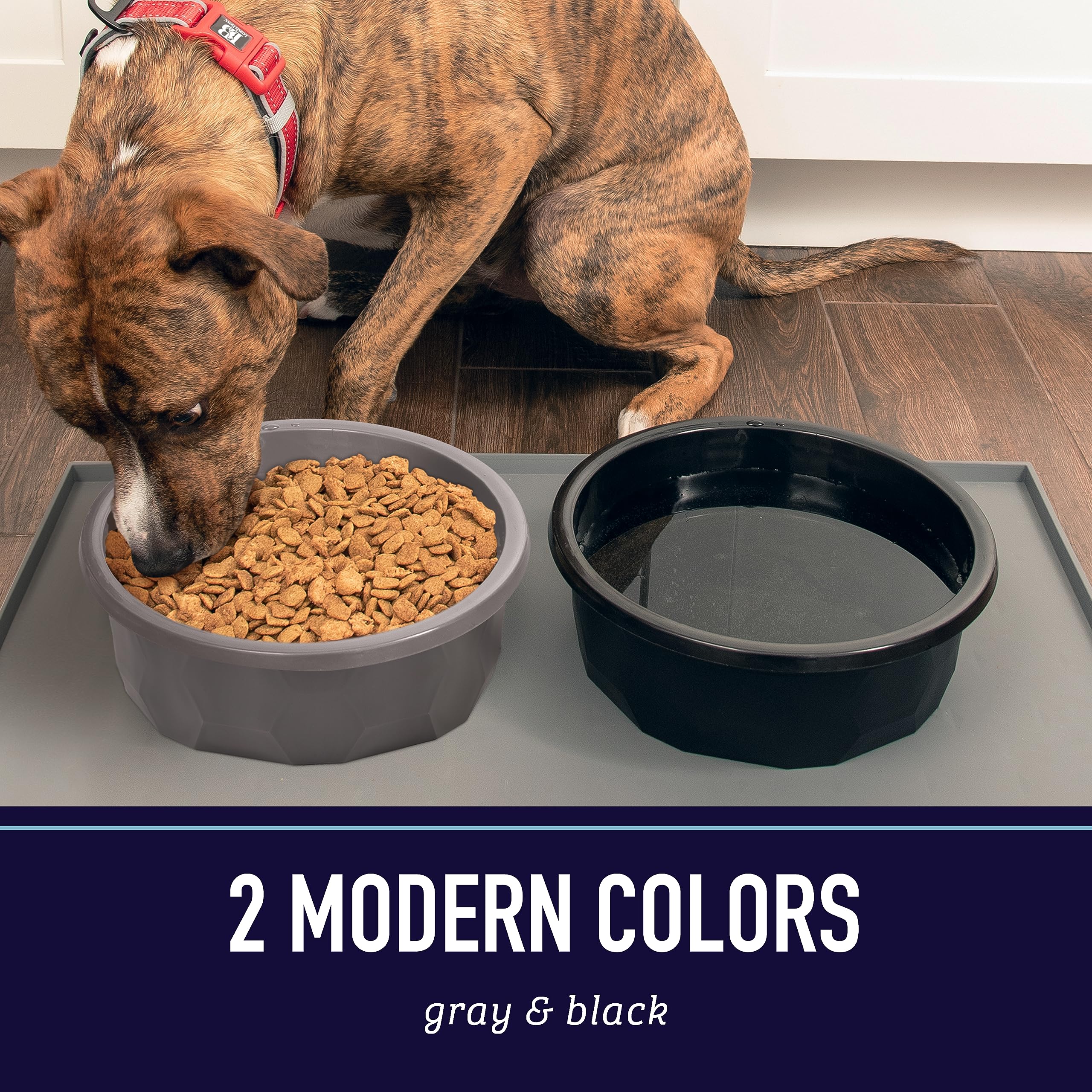 Leash Boss XL easy-clean bowl ideal after muddy outdoor sessions.