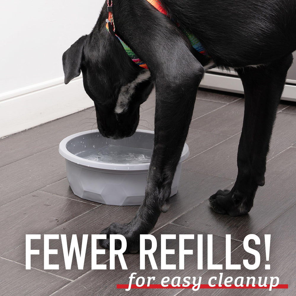 Leash Boss XL on-the-go hydration bowl for active hiking and park days.