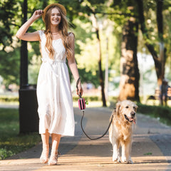 Leashrr 2.0 durable fabric keeps contents dry and secure on daily outings.