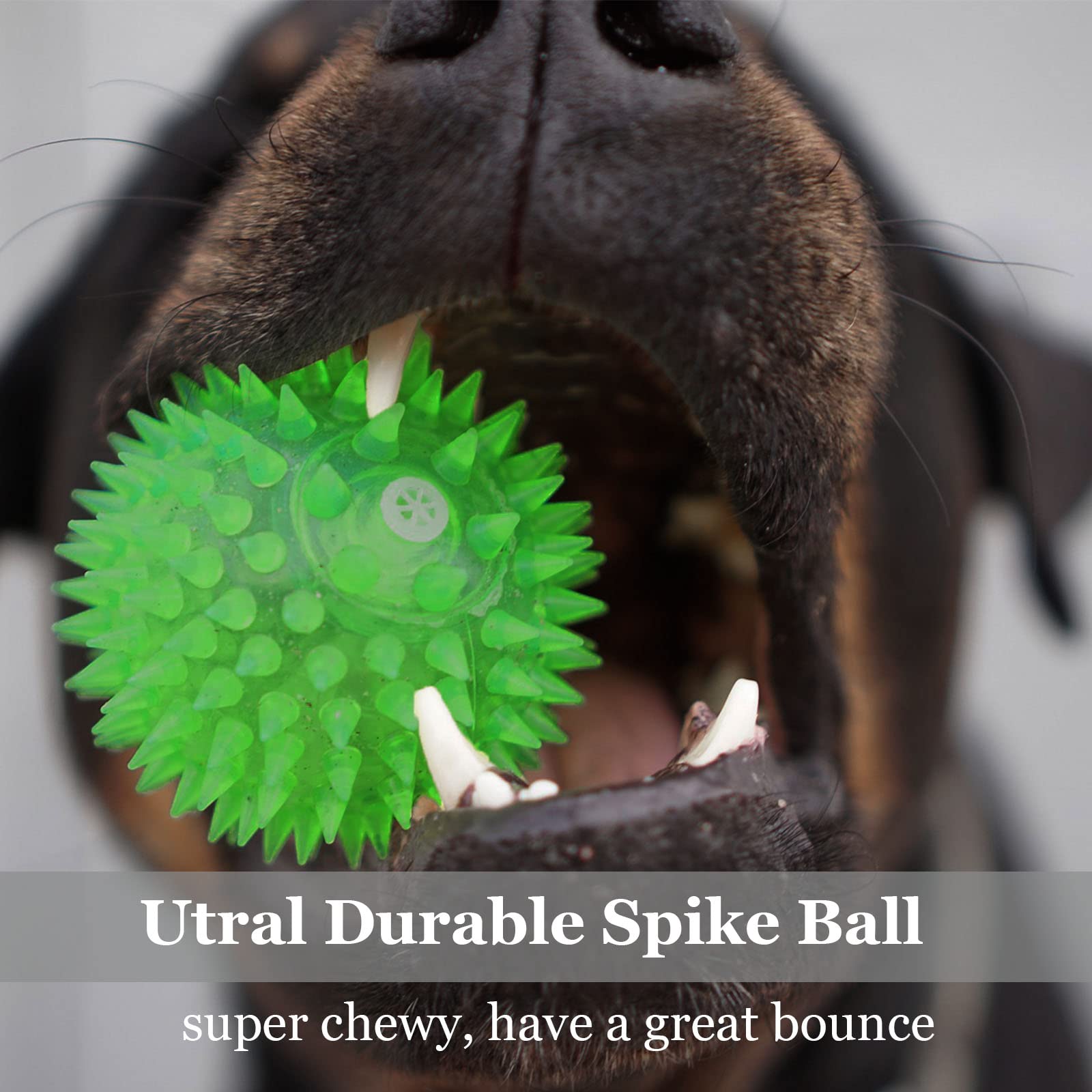 LECHONG 12pack squeaky ball durable textured exterior withstands rough play and tugging.
