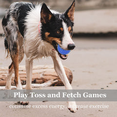 LECHONG 12pack squeaky ball spiky orange ideal for interactive play and chewing.