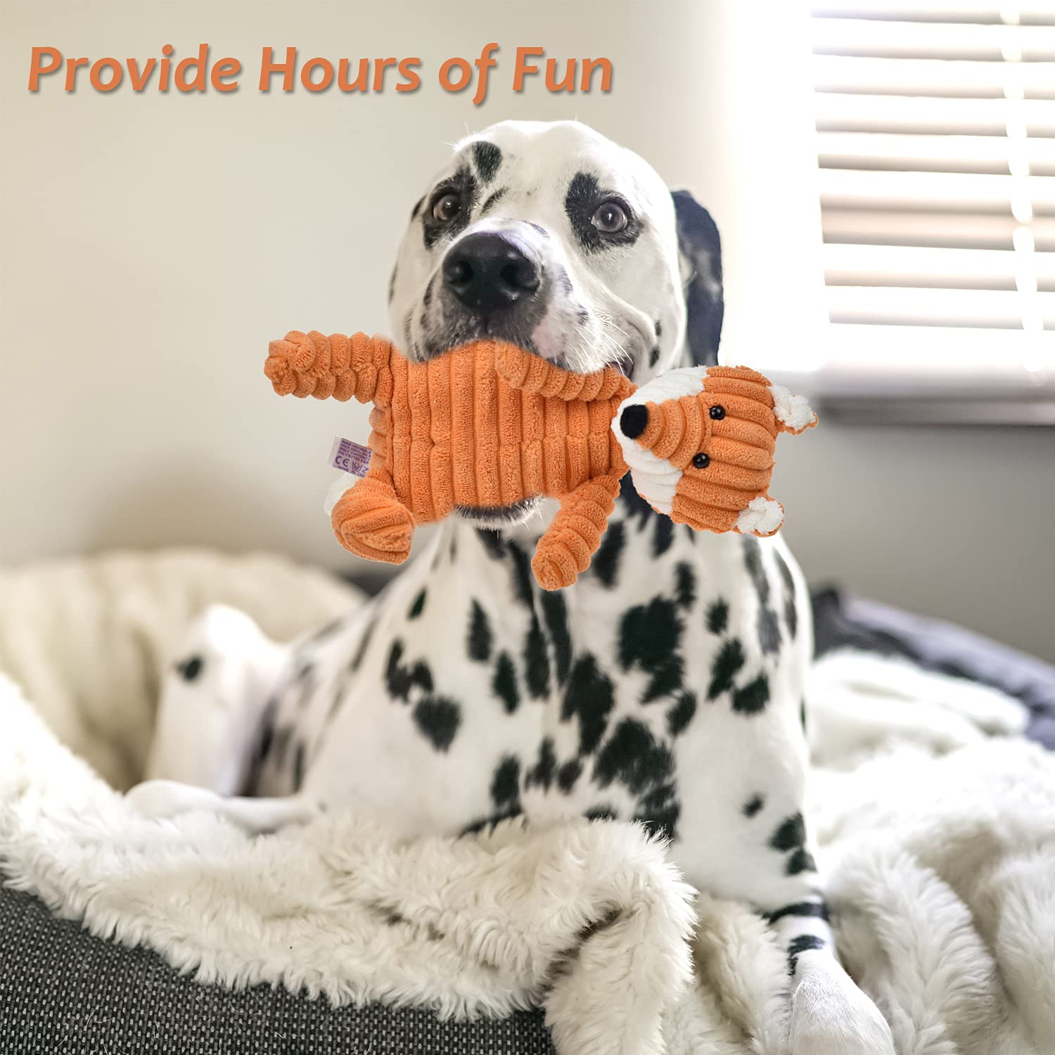 LECHONG 5pack dog toys pack offering varied options for playful moments