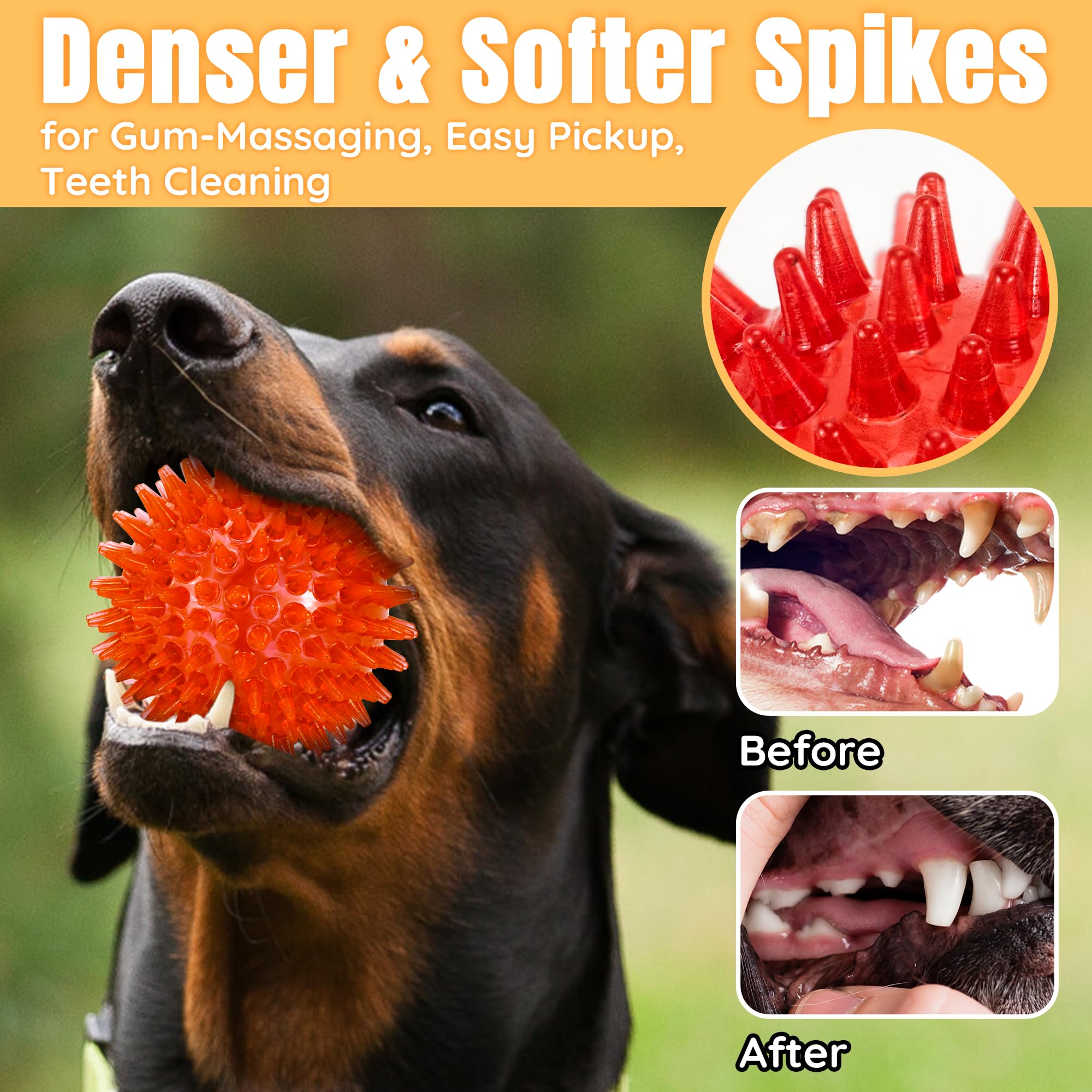 LECHONG bright colors aid visibility during fetch and training