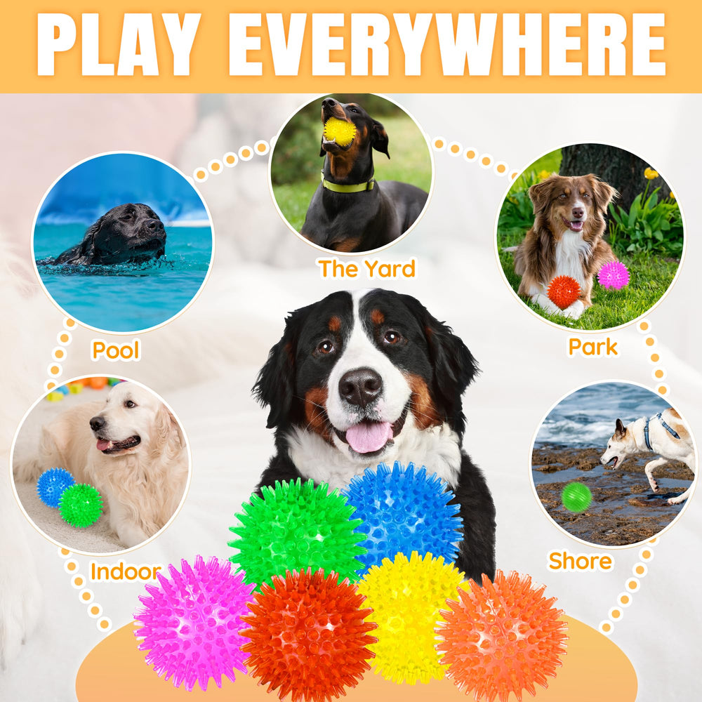 LECHONG 6-pack packing shot with multiple squeaky balls
