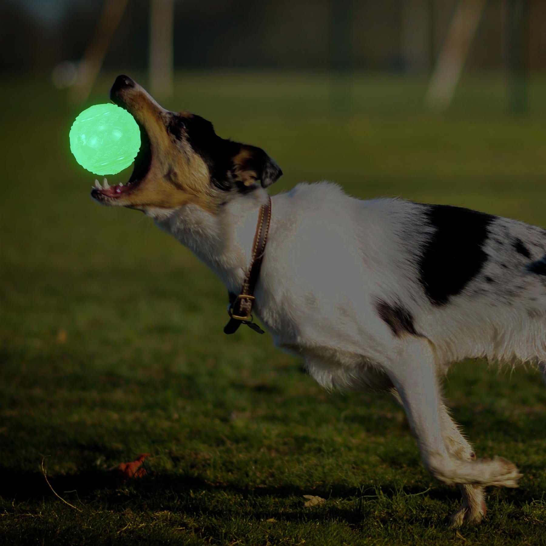 LECHONG launcher-compatible glow ball for effortless throw-and-retrieve