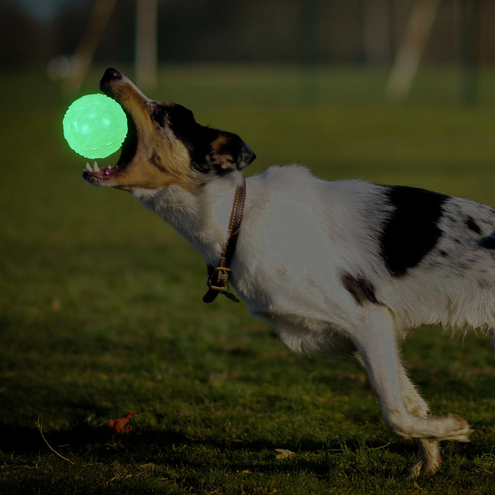 LECHONG launcher-compatible glow ball for effortless throw-and-retrieve