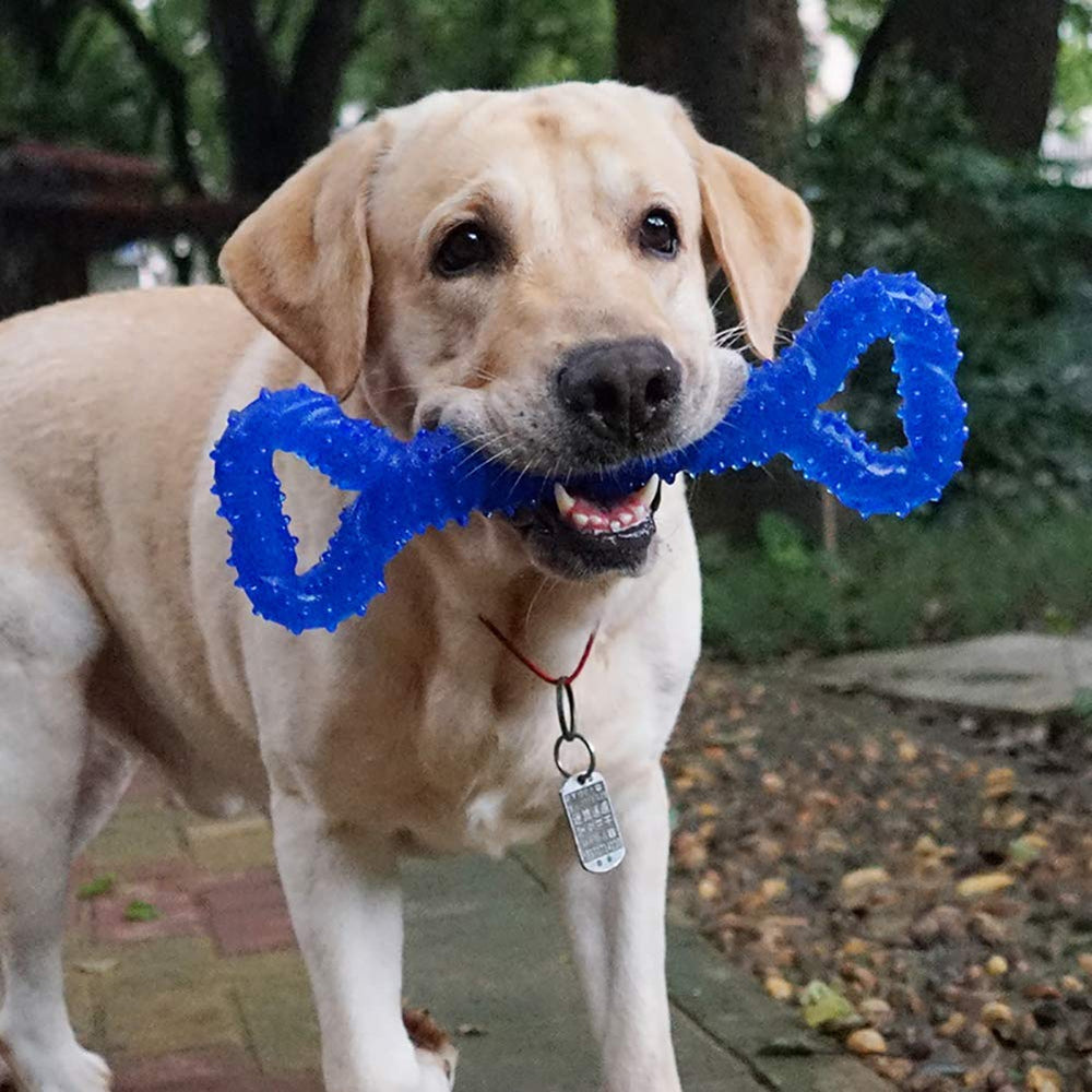 LECHONG dog toy suitable for medium and large dogs during supervised sessions.