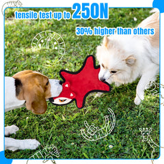 LECHONG fox no-stuffing dog toy supports teething and focus.