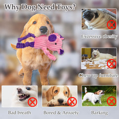 LECHONG frog plush dog toy designed for playful bursts and safe handling.