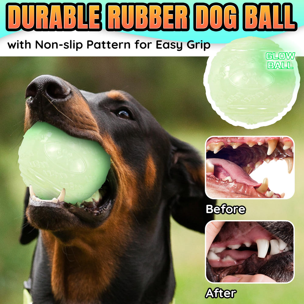 LECHONG night-friendly dog toy improves engagement during evening walks