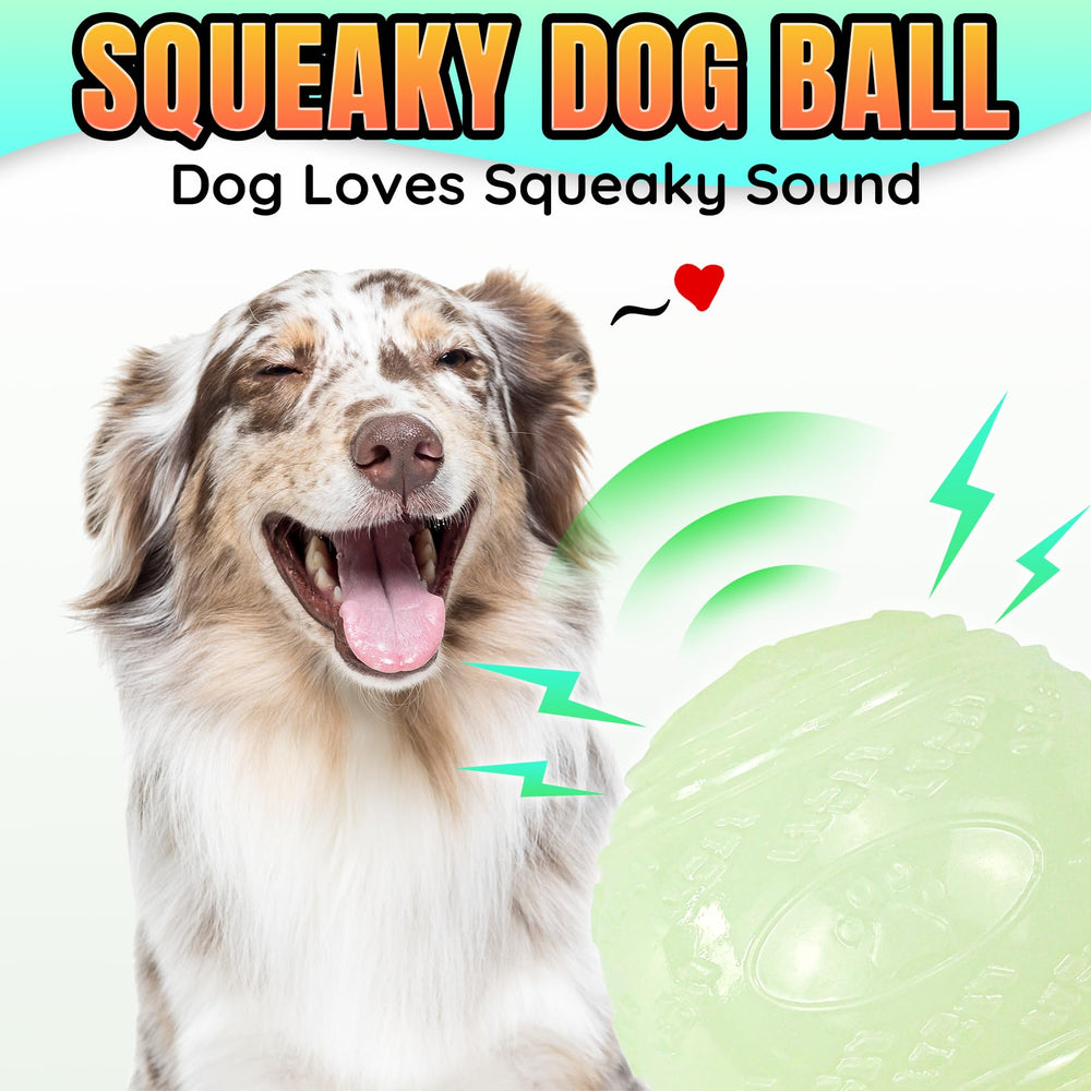 LECHONG indoor-outdoor dog toy suited for yard, park, or poolside