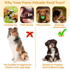 LECHONG plush squeaky toys offer soft, engaging entertainment.