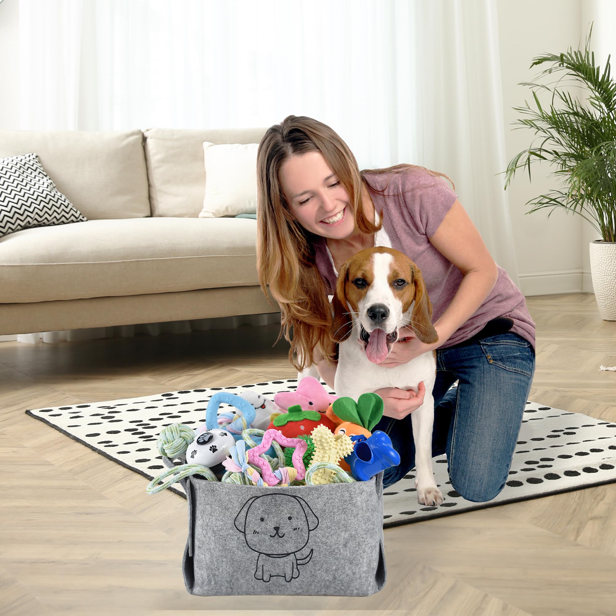 LECHONG square storage bin for toys and treats organization.