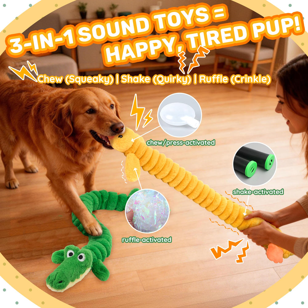 LECHONG tug-of-war action toy demonstrates interactive play for dogs of all sizes.