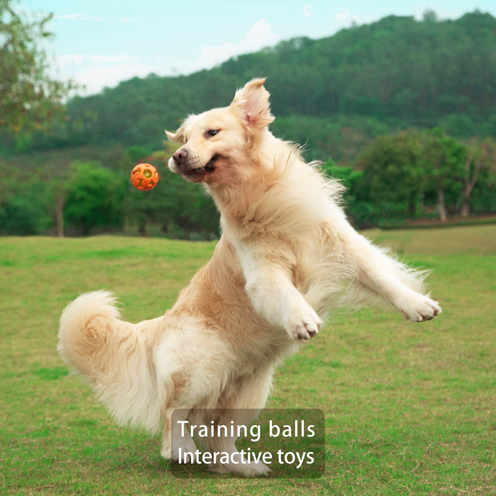 Leejec dog chasing a night-time fetch with the flashing ball for tracking.