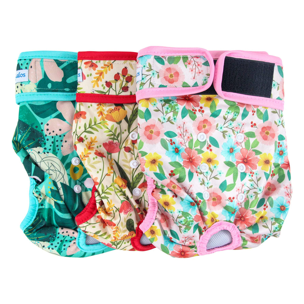 Leekalos reusable dog diapers pack three in Flora design for comfortable daily wear and leak protection.