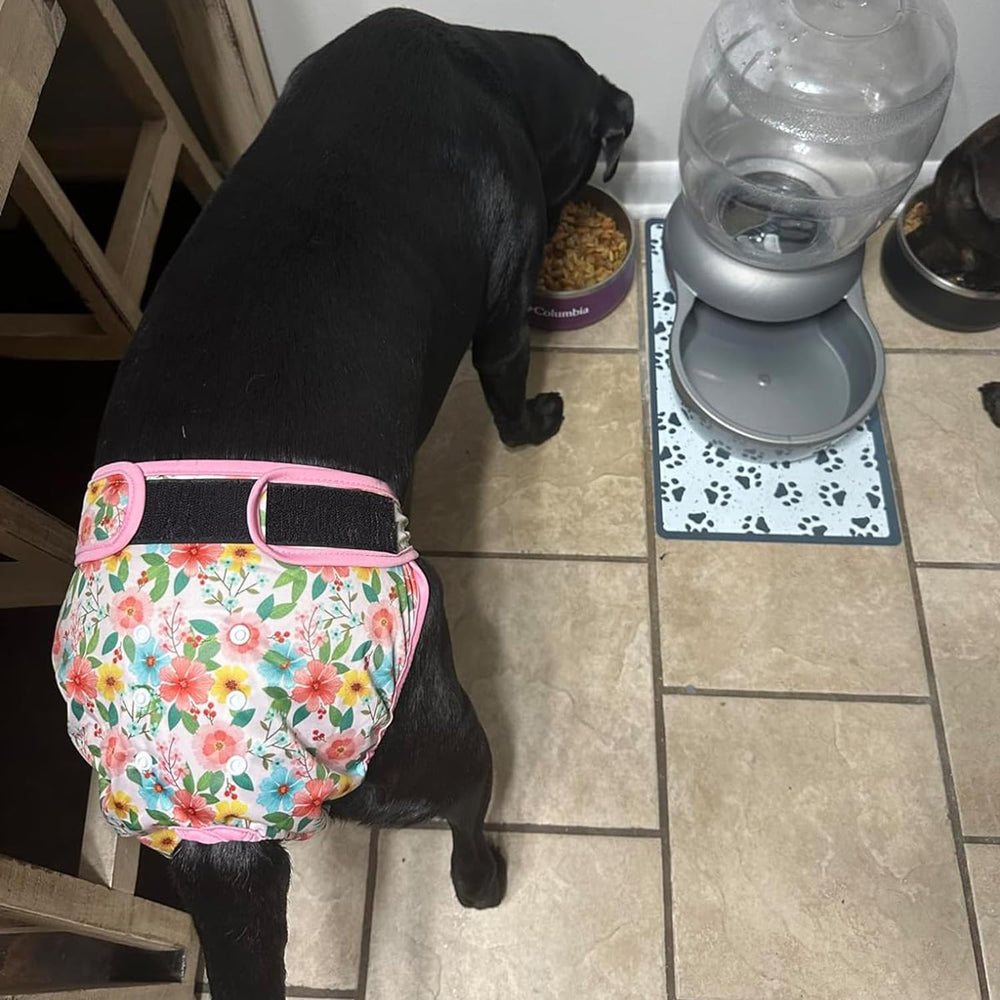 Leekalos washable dog diapers exterior PUL shell demonstrates leak-free protection.