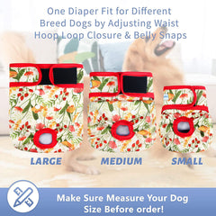 Leekalos X-Large Flora diapers are washable and reusable for cost-effective care.