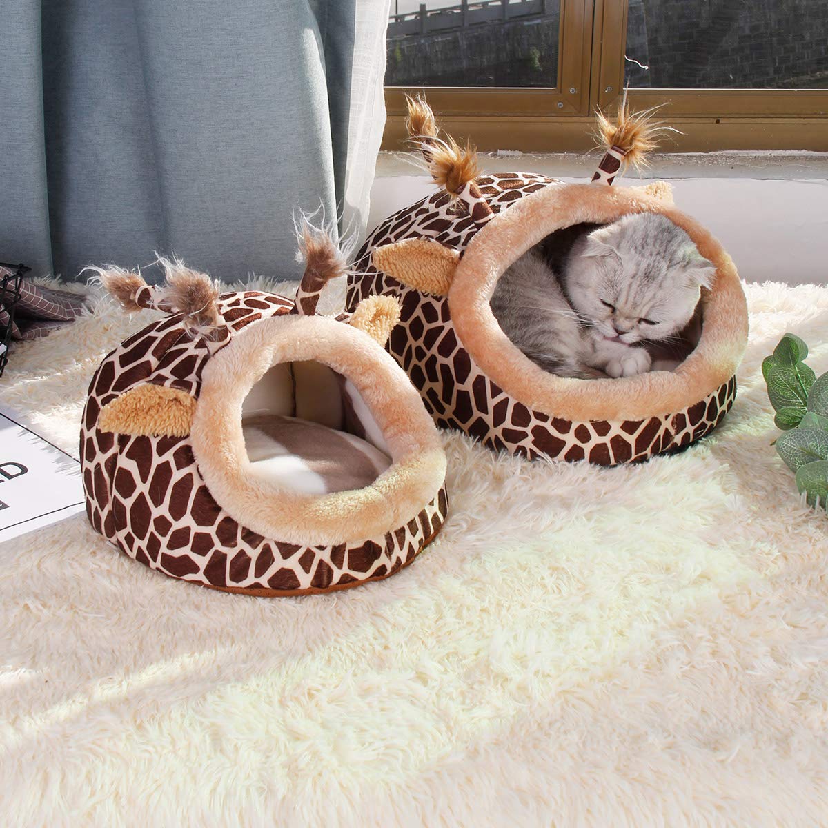 LEFTSTARER bed available in three sizes for growing pets