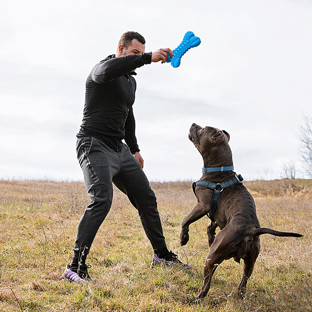 LEGEND SANDY 360-deformation chew toy offers flexible engaging chewing