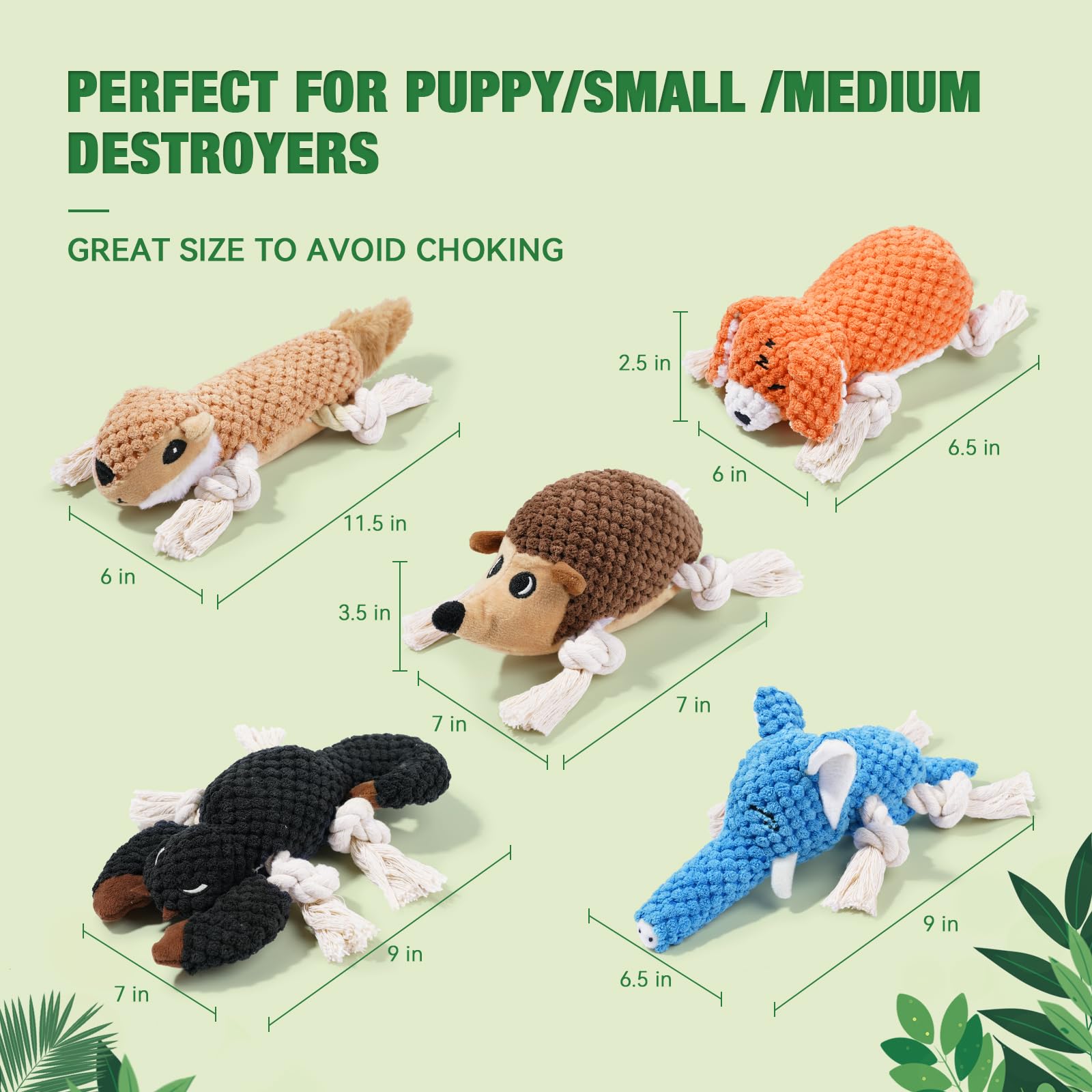 LEGEND SANDY gift-box packaging ideal for gifting to new puppies