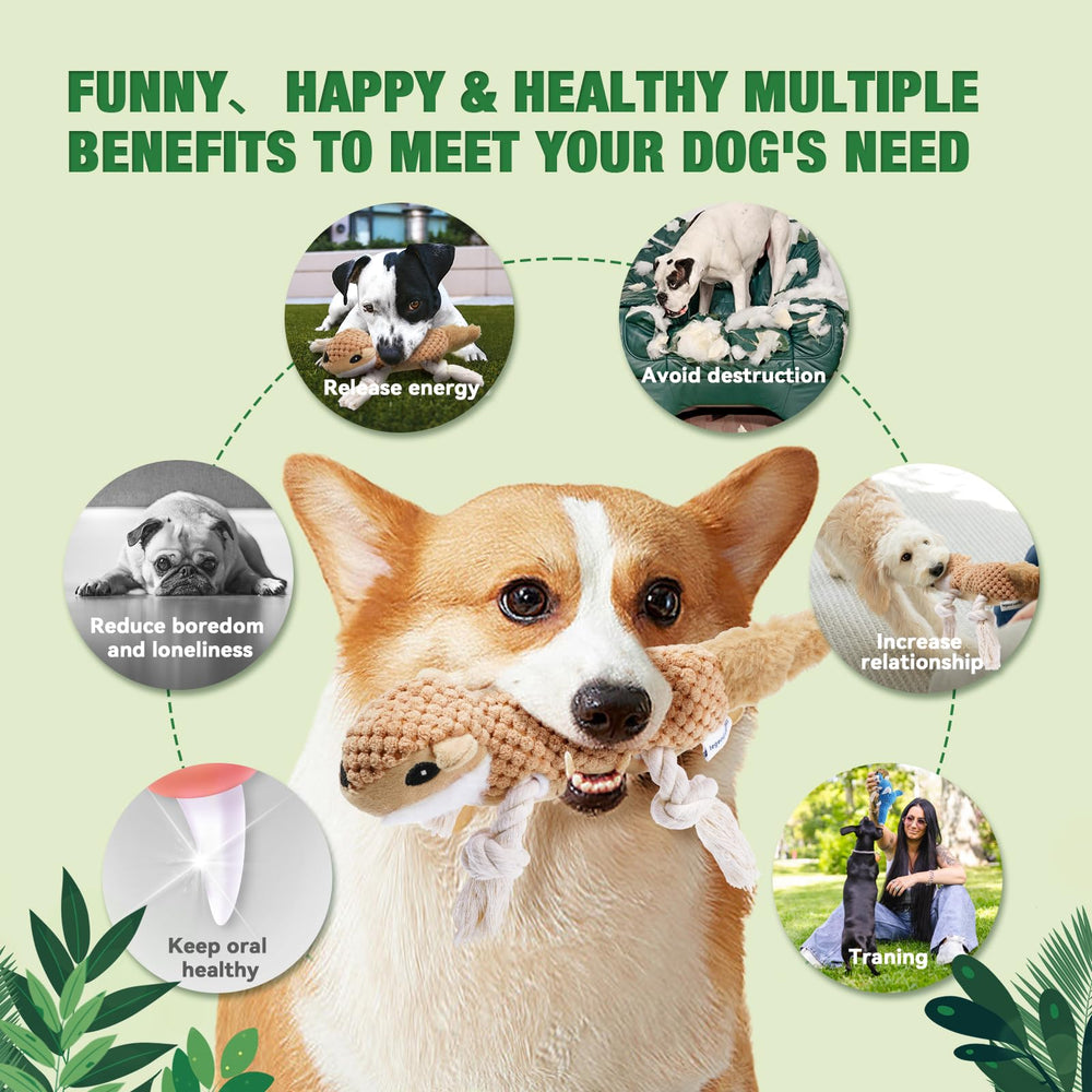 LEGEND SANDY puppy toy set featuring five characters for small breeds
