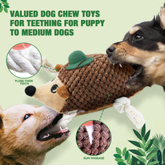 LEGEND SANDY squirrel plush dog toy with squeaker for fetch and stimulation