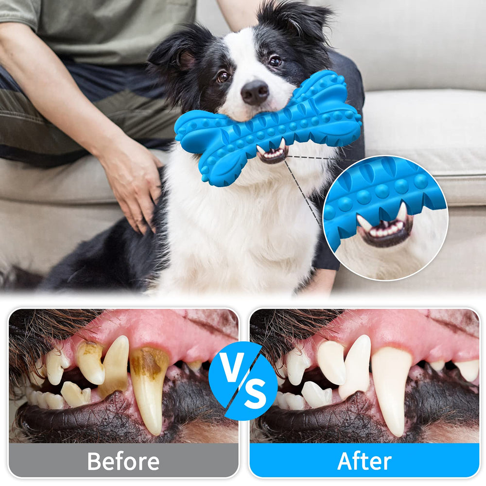 LEGEND SANDY interactive toy for indoor and outdoor play with pups
