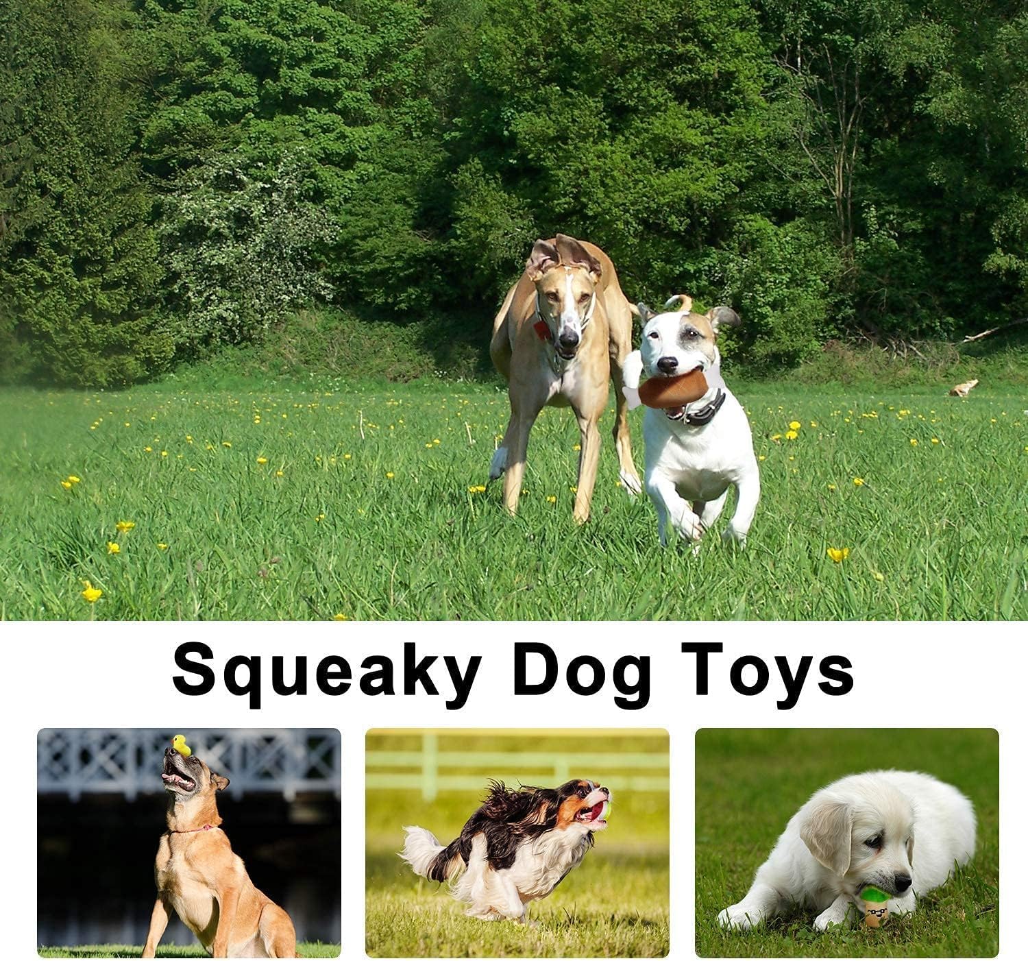 LEGEND SANDY carrot plush toy; chewy texture helps channel energy.