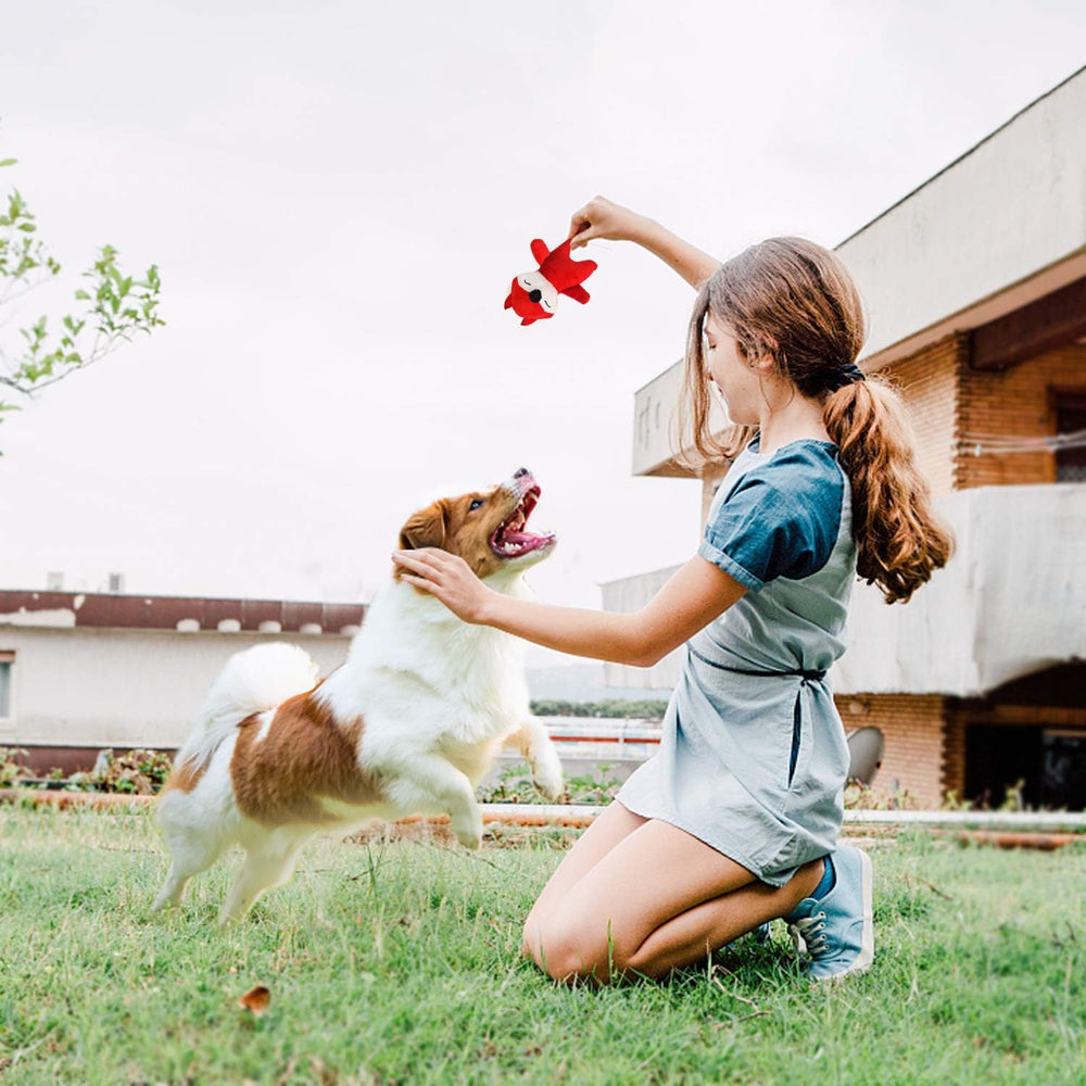 Legend Sandy shark dog toy adds exciting fetch and chew time.