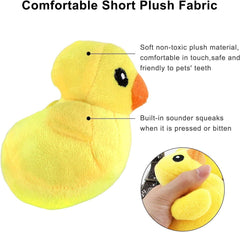 LEGEND SANDY squeak star toy with lively squeaker, perfect for playful fetch.